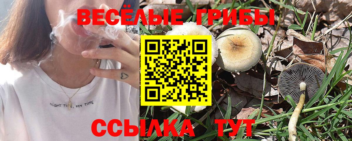 Псилоцибиновые грибы прущие грибы Каменск-Шахтинский
