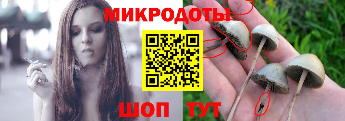 Псилоцибиновые грибы MAGIC MUSHROOMS  Вход с VPN  Каменск-Шахтинский 